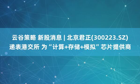云谷策略 新股消息 | 北京君正(300223.SZ)递表港交所 为“计算+存储+模拟”芯片提供商