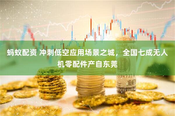 蚂蚁配资 冲刺低空应用场景之城，全国七成无人机零配件产自东莞