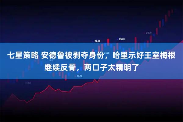 七星策略 安德鲁被剥夺身份，哈里示好王室梅根继续反骨，两口子太精明了